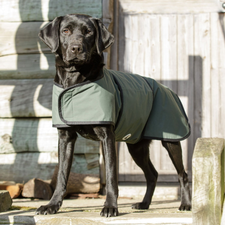 Dog and Field 2-in-1 Waterproof Drying Dog Coat