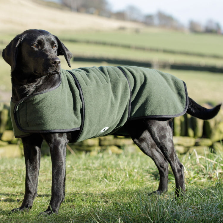 Dog and Field Towelling Dog Coat