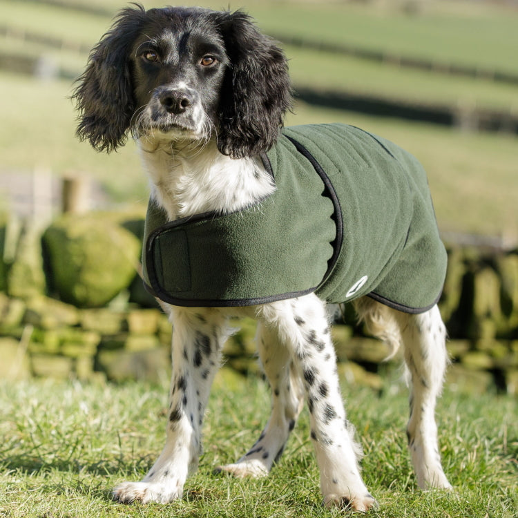 Dog and Field Towelling Dog Coat John Norris