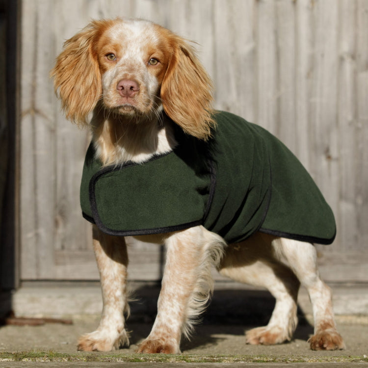 Dog and Field Towelling Dog Coat John Norris
