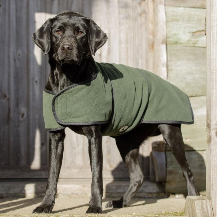 Dog and Field Towelling Dog Coat John Norris