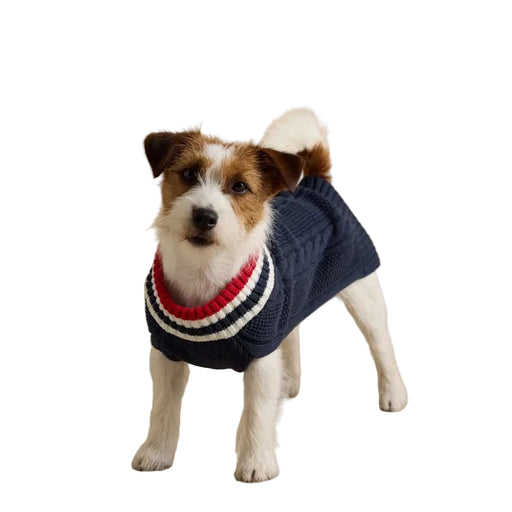 Joules Dawson Knit Dog Jumper - Navy
