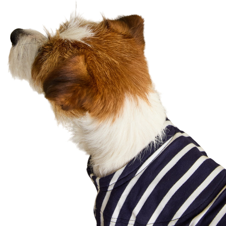 Joules Harbour Dog Top - Navy Stripe