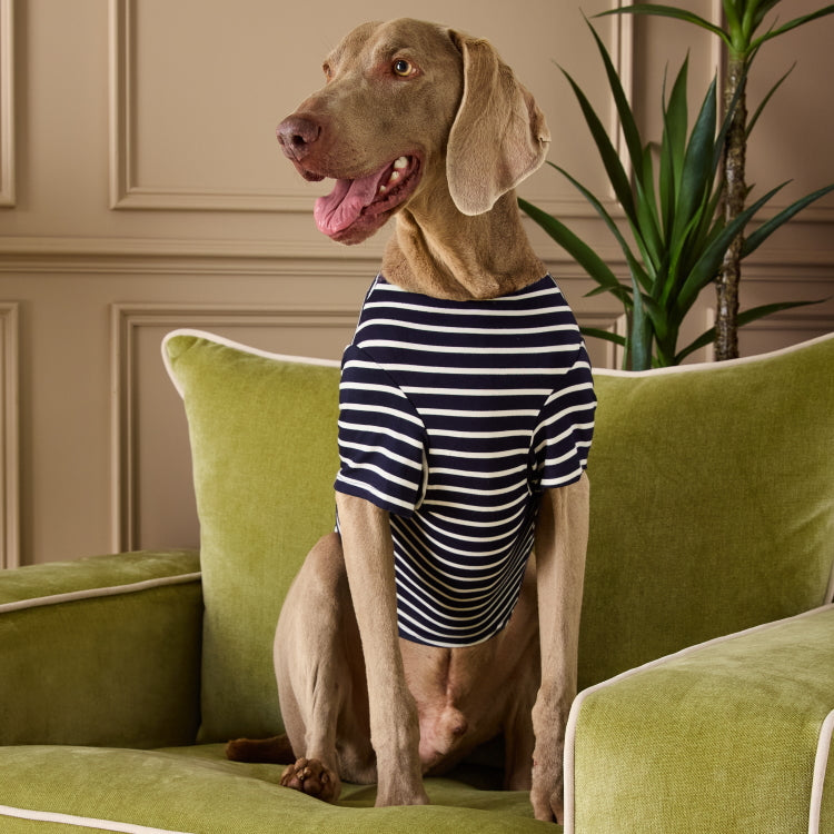 Joules Harbour Dog Top - Navy Stripe