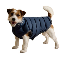 Joules Moorsdale Puffer Dog Coat - Navy/Burgundy
