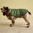Joules Quilted Dog Coat - Khaki
