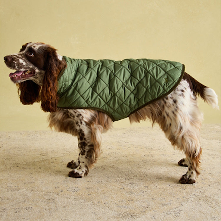 Joules Quilted Dog Coat - Khaki