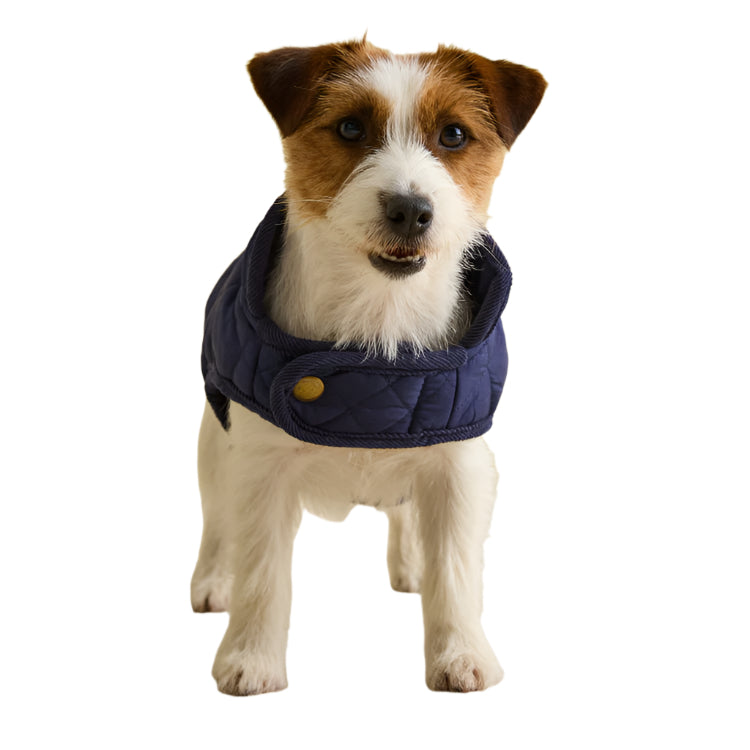 Joules Quilted Dog Coat - Navy