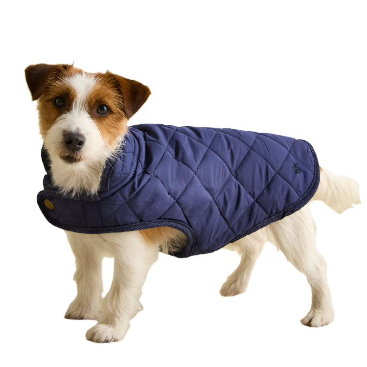 Joules Quilted Dog Coat - Navy - John Norris