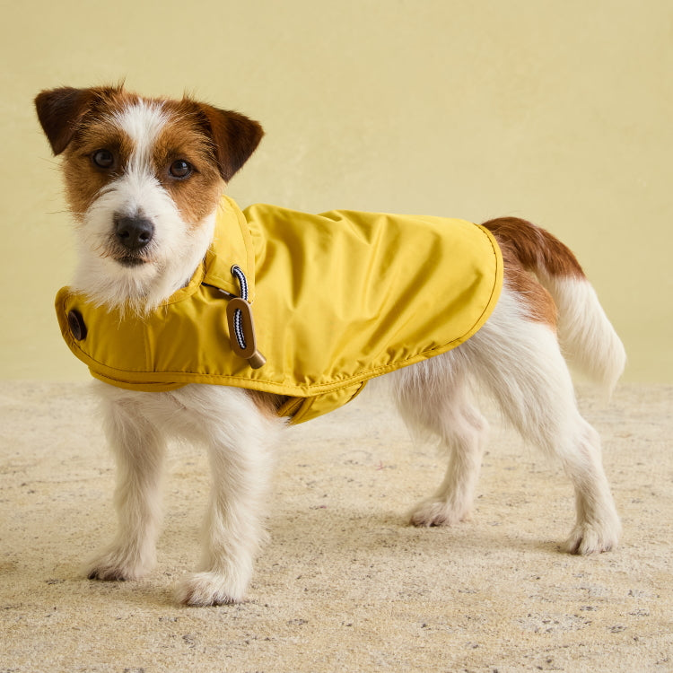 Rain Jacket Joules Waterproof Dog Coat Joules Raining Dogs Jacket Top