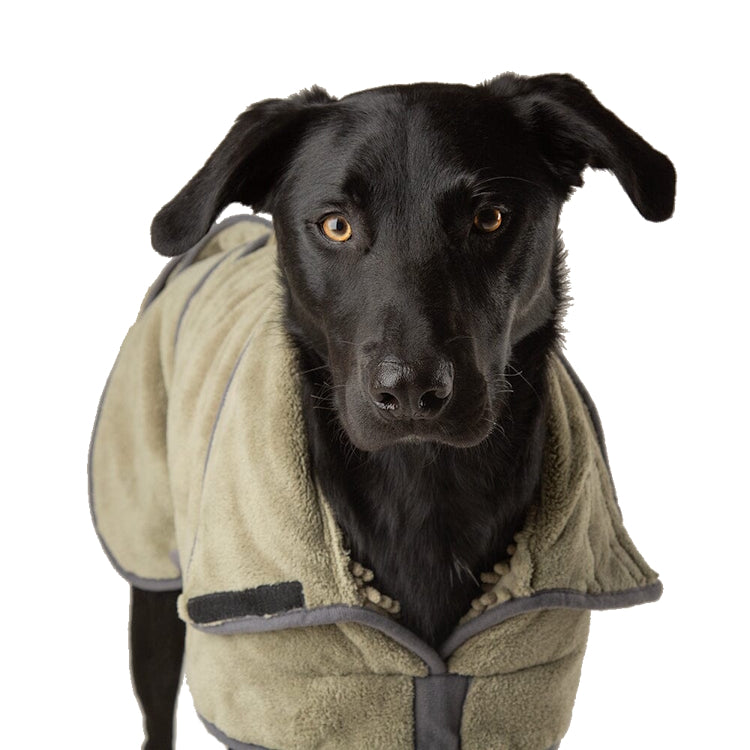 Scruffs Expedition Deluxe Drying Dog Coat - Khaki Green