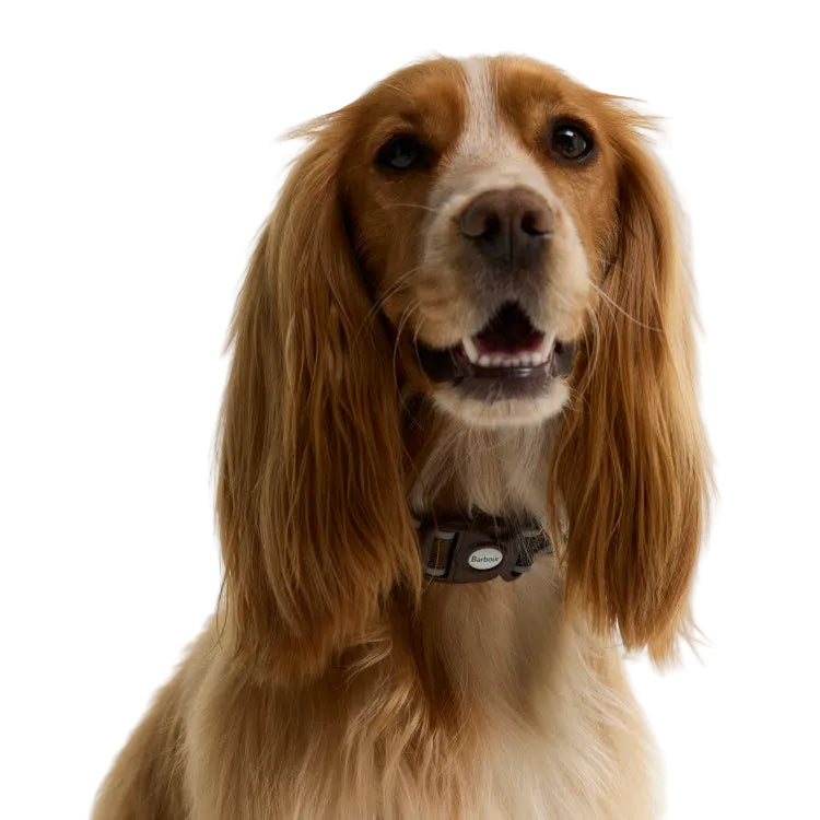 Barbour Reflective Tartan Dog Collar - Classic Tartan
