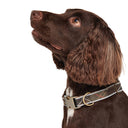 Barbour Reflective Tartan Dog Collar - Classic Tartan