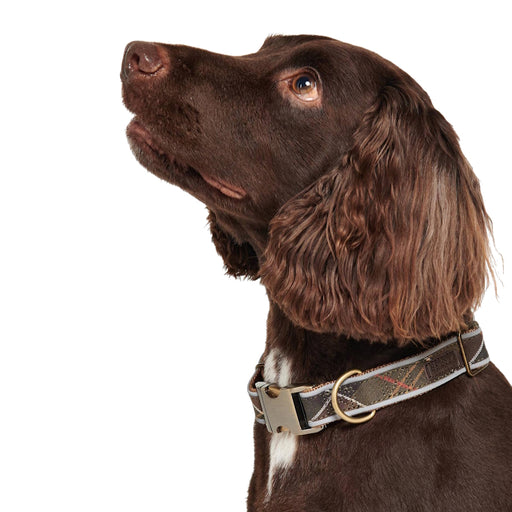 Barbour Reflective Tartan Dog Collar - Classic Tartan