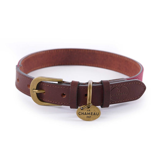 Le Chameau Waxed Cotton/Leather Dog Collar - Red