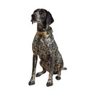 Joules Khaki Dog Collar