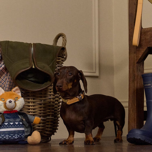 Joules Tan Dog Collar