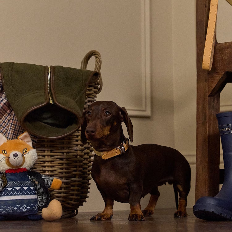 Joules Tan Dog Collar