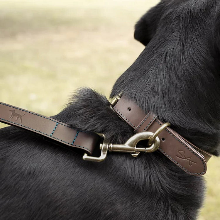 Sophie Allport Woof Leather Dog Collar