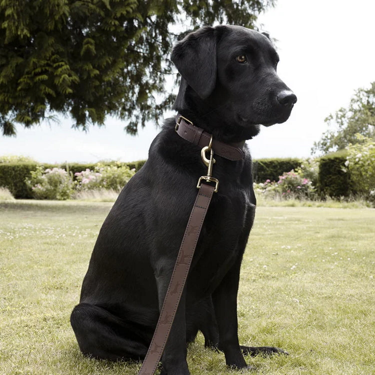 Sophie Allport Woof Leather Dog Collar
