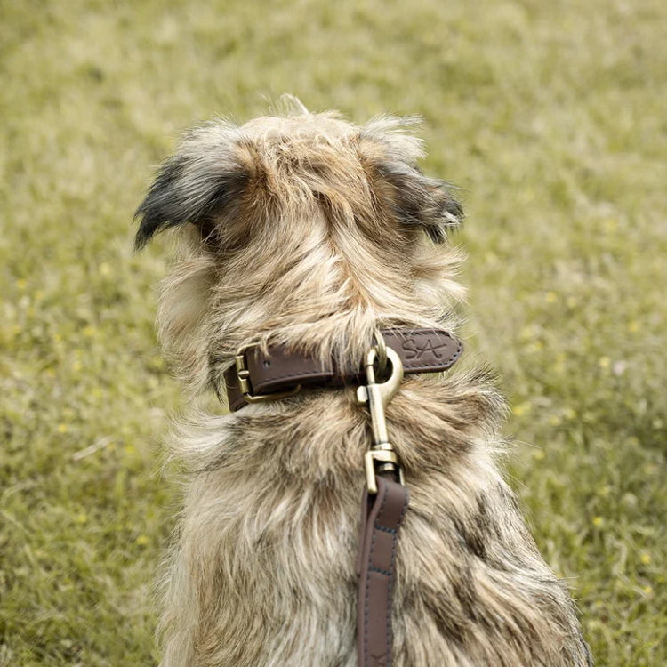 Sophie Allport Woof Leather Dog Collar