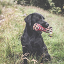 Dog and Field Original Clone Pheasant Dummy - 1lb