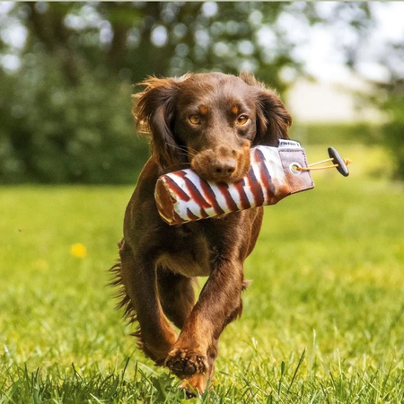 Seeland 2025 ragley tweed