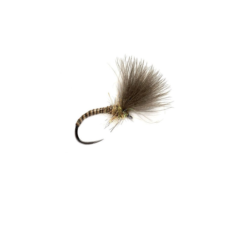 Quill CdC Emerger Natural Barbless Fly