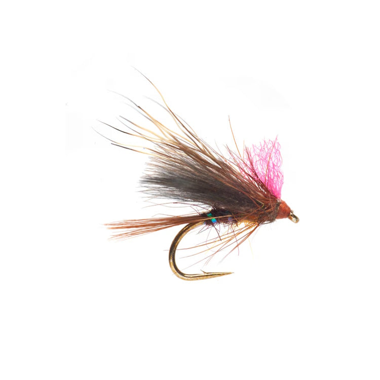 Ronan's Kiwi Dun Fly