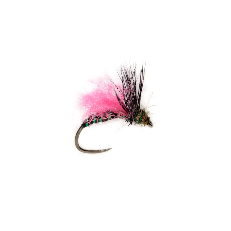 Procter Target APT Barbless Fly