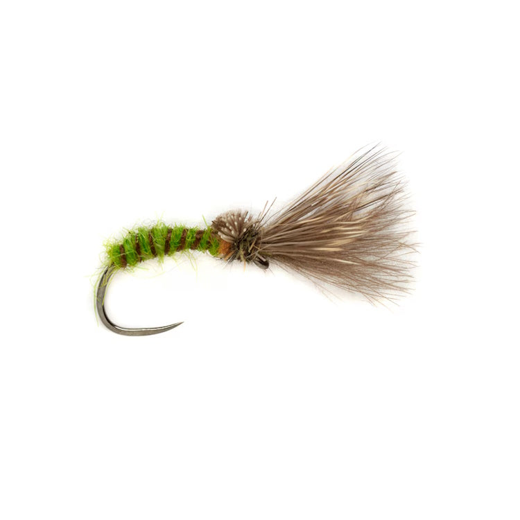 Proctor Caddis Emerger Barbless Fly
