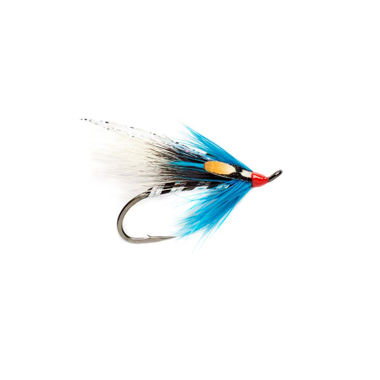 Steffan Jones ESB Fly