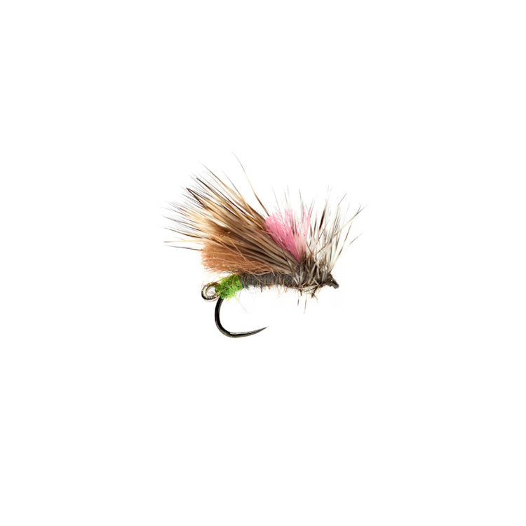 Duo Caddis Barbless