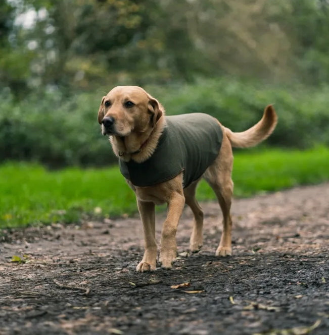 Jack Pyke Fleece Dog Coat - Light Olive