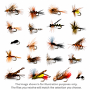 John Norris Special Offer Fly Selections