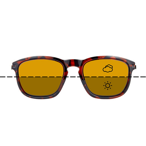 Fortis Strokes Sunglasses - Switch