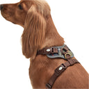 Barbour Fully Adjustable Dog Harness - Classic Tartan