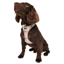 Barbour Tartan Dog Harness - Taupe/Pink
