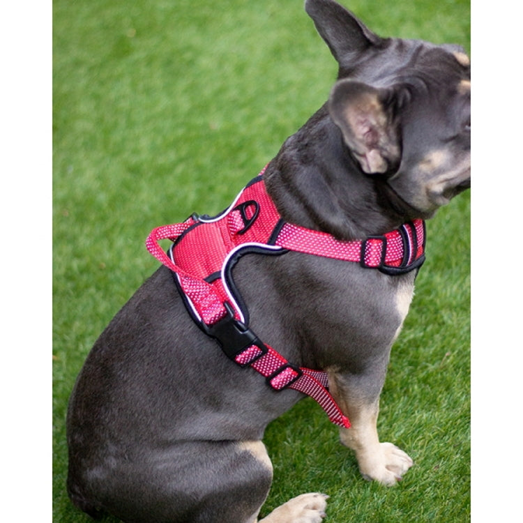 Rosewood Full Reflective Dog Harness - Red