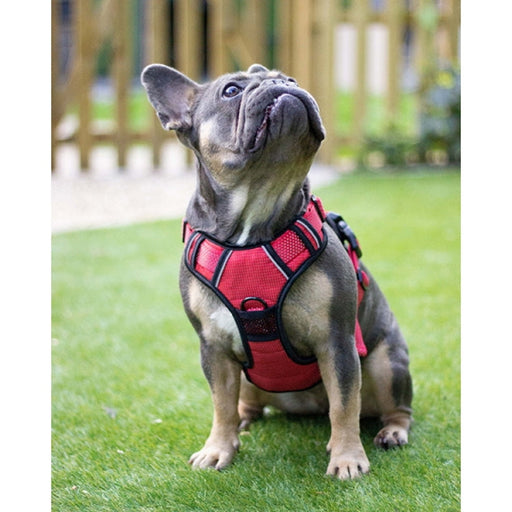 Rosewood Full Reflective Dog Harness - Red