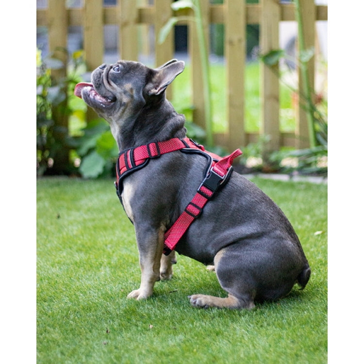 Rosewood Full Reflective Dog Harness - Red
