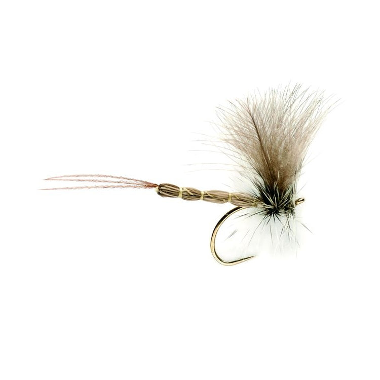 Mayfly CDC Fly 