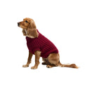 Barbour Saltburn Dog Jumper - Biking Red
