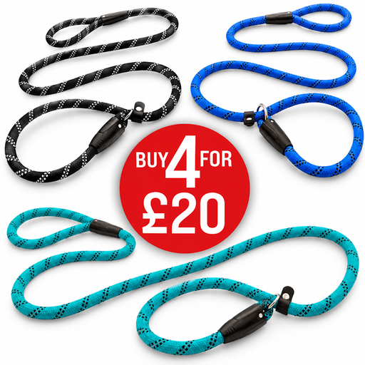 John Norris Dog Slip Leads - Black, Blue, Sky Blue
