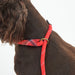 Barbour Dog Reflective Slip Lead - Red