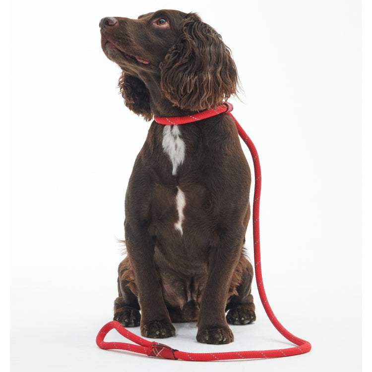 Barbour Dog Reflective Slip Lead - Red