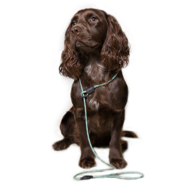 Dog and Field Pro Trialler Slip Lead - Green