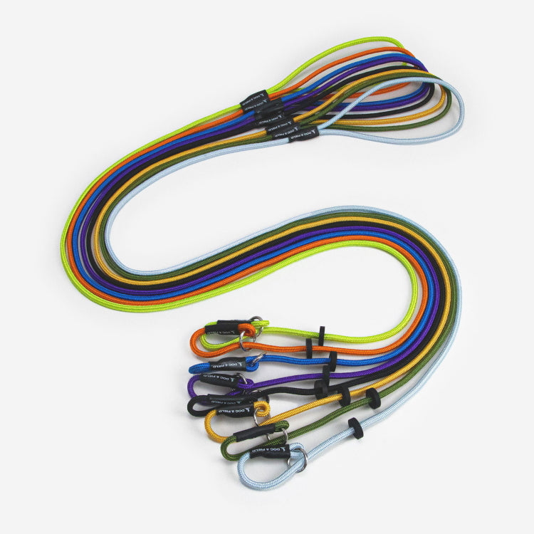 Dog and Field Signature Slip Lead