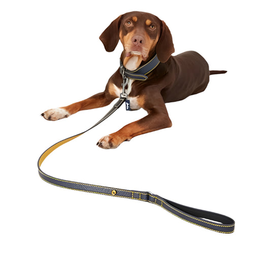 Joules Leather Dog Lead - Navy