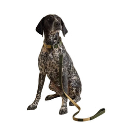 Joules Khaki Dog Lead